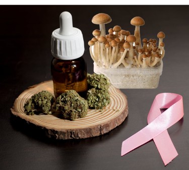 mushrooms and cannabis for breast cancer
