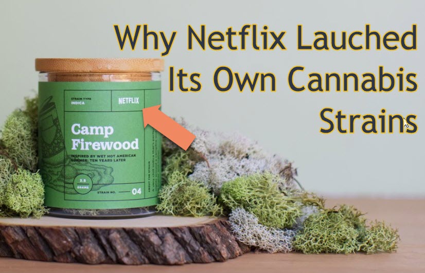 NETFLIX CANNABIS STRAINS