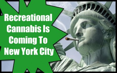 SIZE OF THE RECREATIONAL CANNABIS MARKET IN NEW YORK