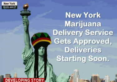 cnn live marijuana 