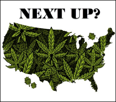 WHAT ARE THE NEXT STATES TO LEGALIZE MARIJUANA