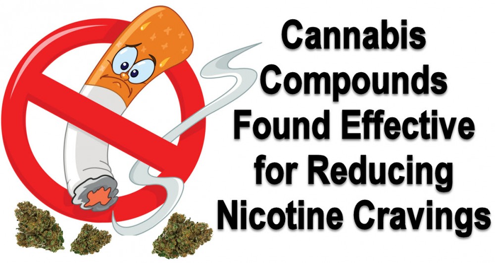 CANNABIS FOR NICOTINE CRAVINGS