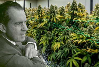 Nixon on marijuana not being that bad