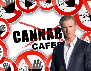 no cannabis cafes