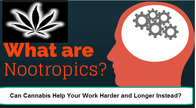 CANNABIS FOR NOOTROPICS