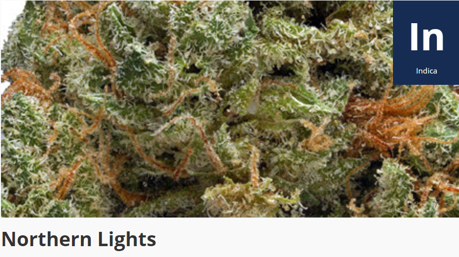 Norther Lights cananbis strain