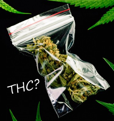 NOT ALL ABOUT THC