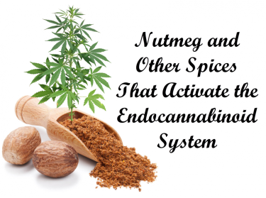 NUTMEG AND CANNABIS