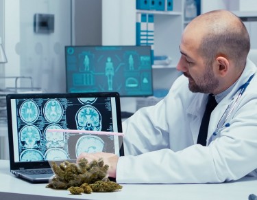 oncology cannabis