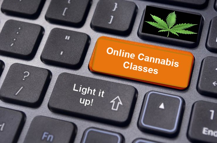 online cannabis classes