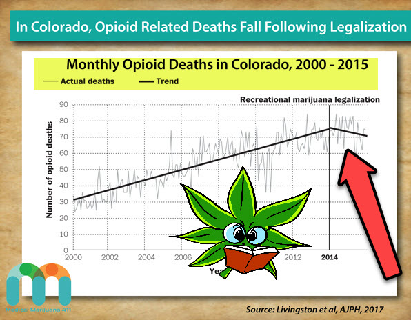 cannabis cuts opioid death rates