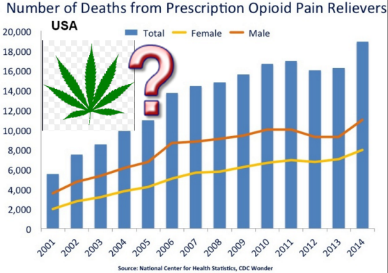 OPIATES USE IN LEGAL CANNABIS STATES