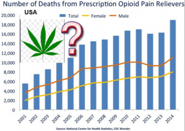 LEGAL MARIJUANA FOR OPIATES