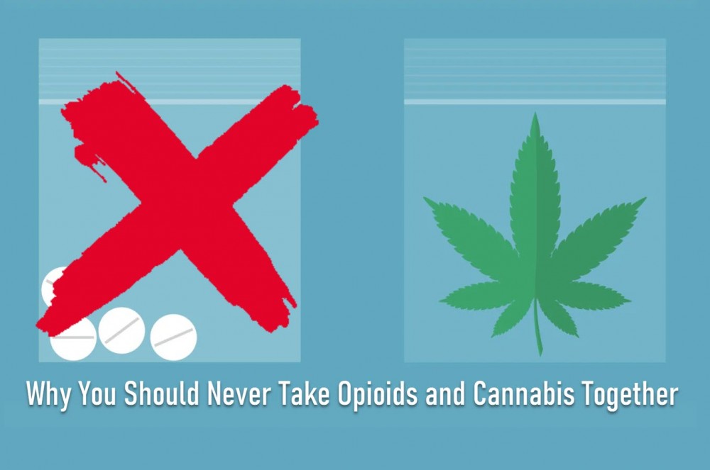 NEVER TAKE OPIOIDS AND CANNABIS TOGETHER