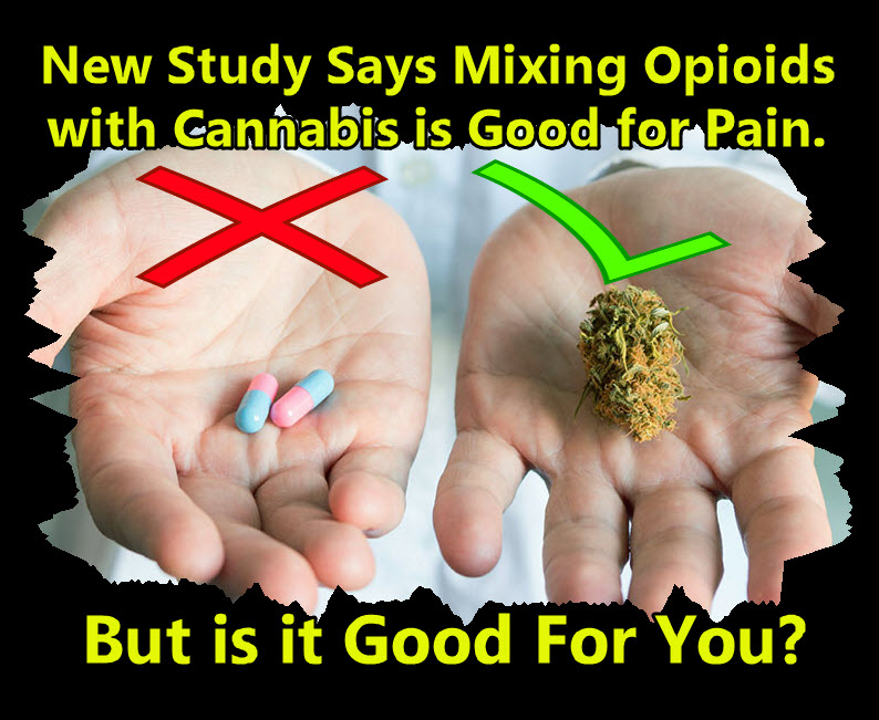 mixing cannabis with opioids