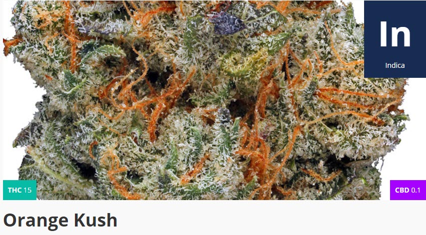 orange kush cannabis
