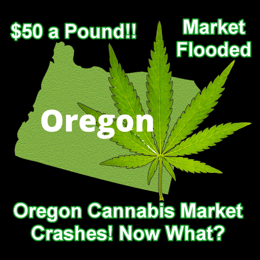 OREGON'S MARIJUANA PRICE CRASH