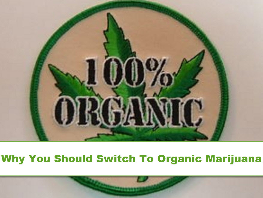 organic cannabis