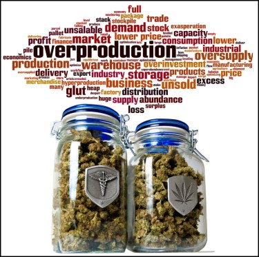 OVERSUPPLIED CANNABIS MARKETS TRIGGER UNDERSUPPLIED MARKETS