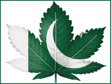 Pakistan marijuana reform