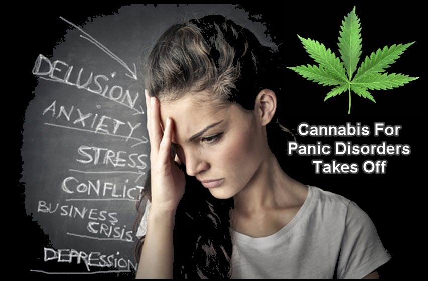 PANIC AND STRESS DISORDERS FOR CANNABIS