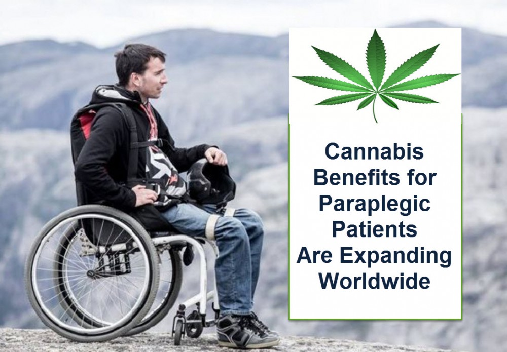 CANNABIS FOR PARAPLEGIC PATIENTS