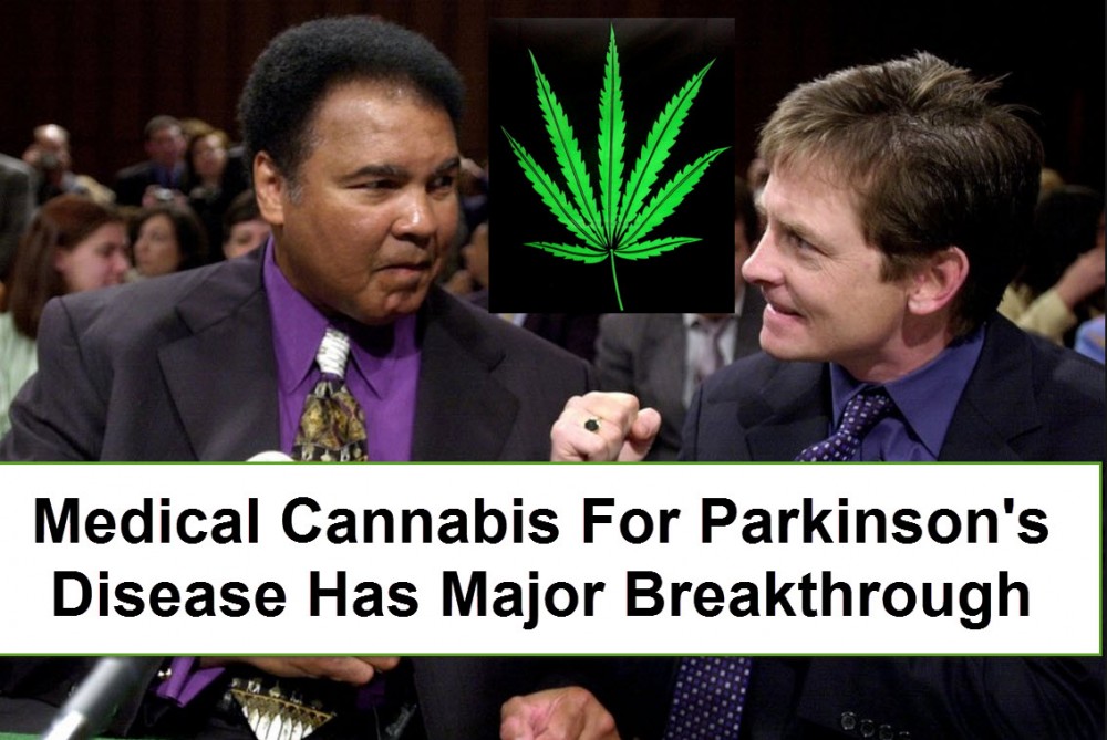 MEDICAL MARIJUANA FOR PARKINSON'S DISEASE