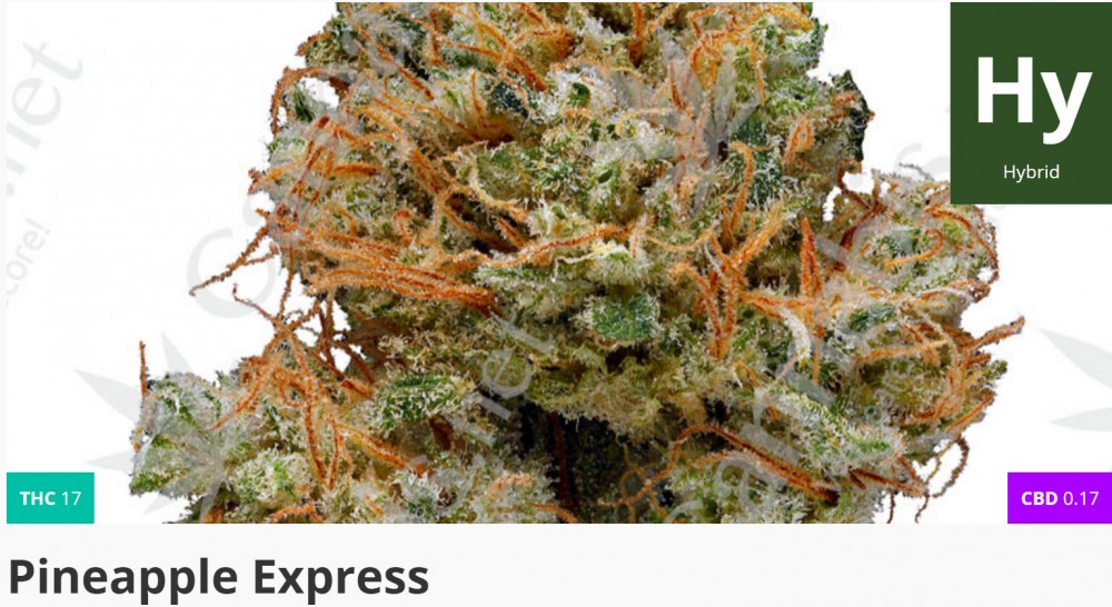 pine apple express strain