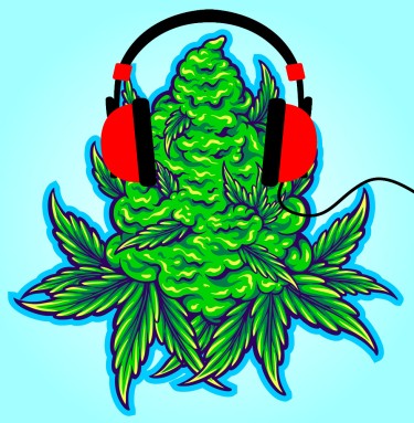 cannabis plants listen to music