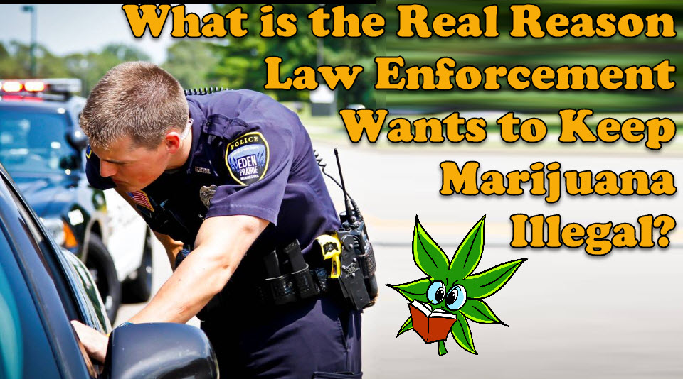 WHY IS POLICE WANT MARIJUANA ILLEGAL