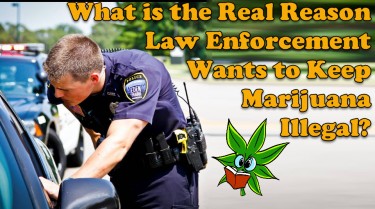 why police want weed illegal