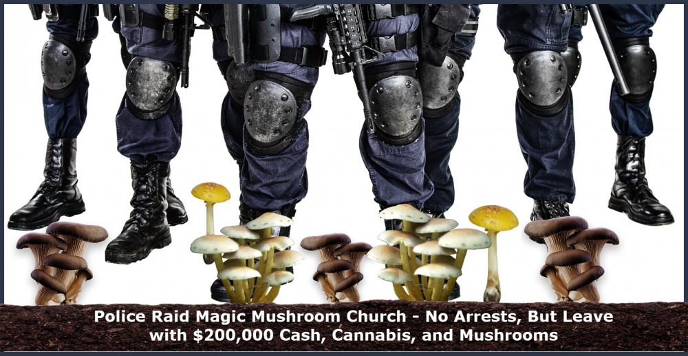 police raid magic mushrooms