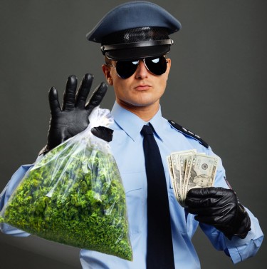 police siezures of cash and weed