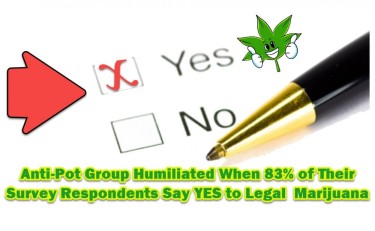 CANNABIS REFORM POLLS IN THE USA
