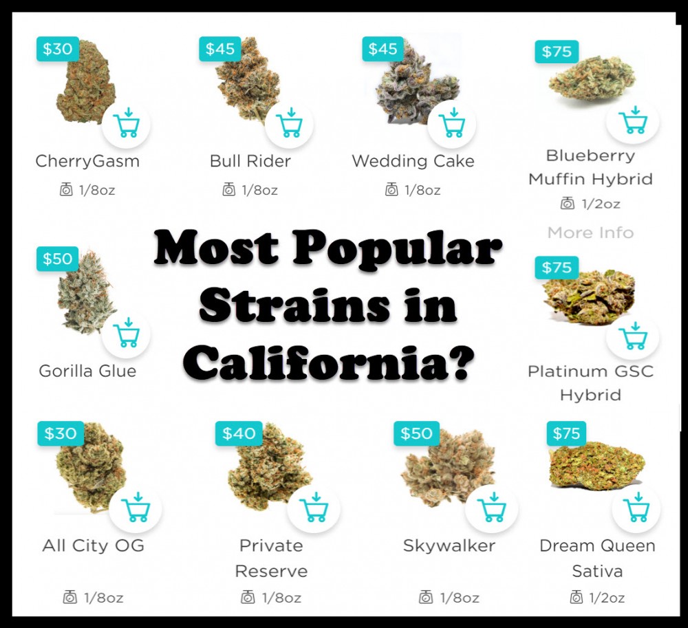 popular cannabis strains in california