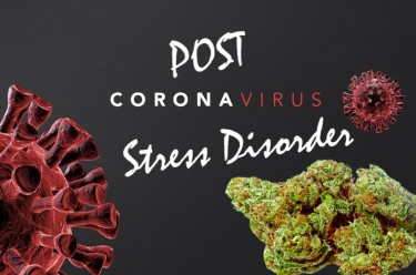POST CORONA STRESS DISORER AND MEDICAL MARIJUANA