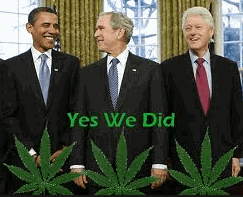 PRESIDENTS AND CANNABIS