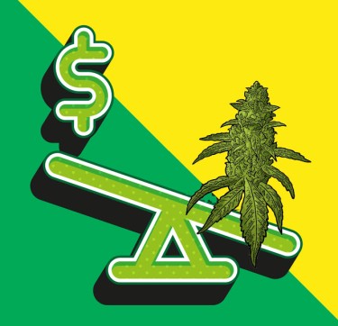 cannabis price drops mean what