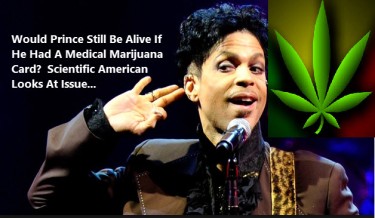 PRINCE AND MEDICAL CANNABIS