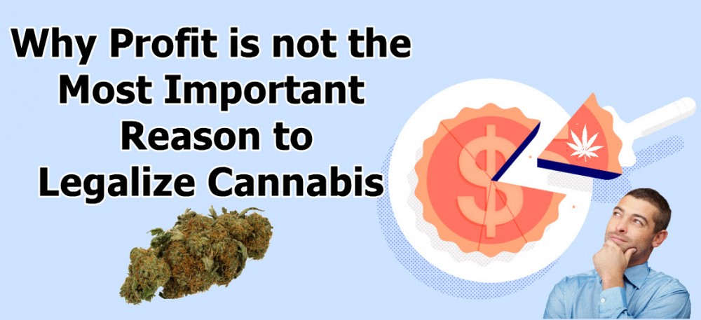cannabis profits
