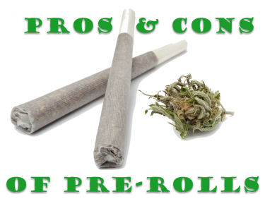 Joints vs Blunts vs Spliffs: A Full Comparison, by Media Buyer Group