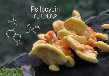 psilocybin for depression study