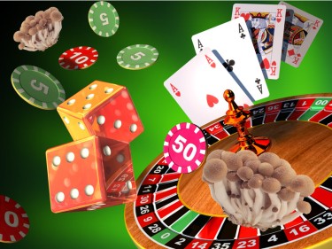 psilocybin for gambling addicts