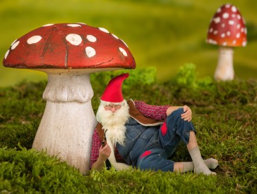 mushrooms to help you quit smoking
