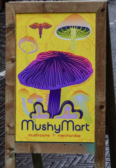 psychedelic dispensaries for mushrooms