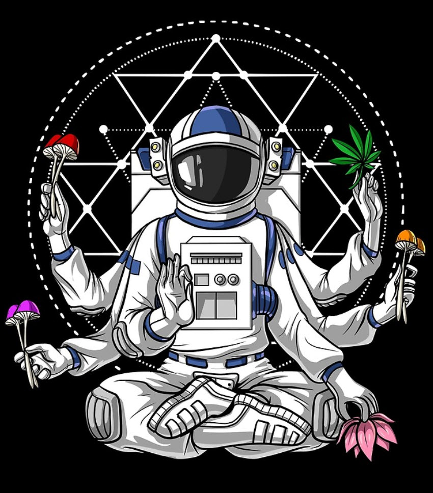 weed astronaut in space