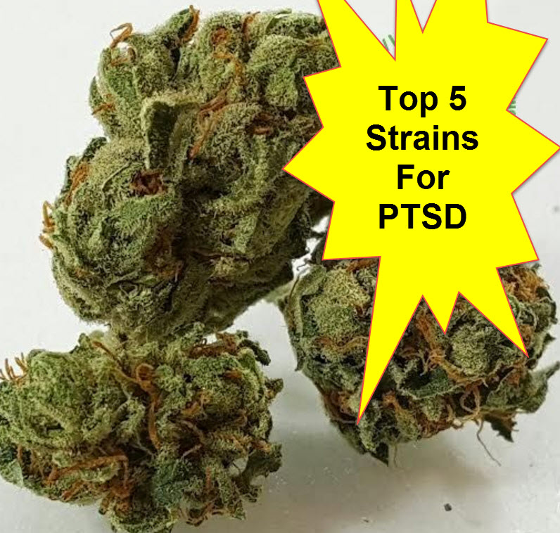 CANNABIS STRAINS FOR PTSD