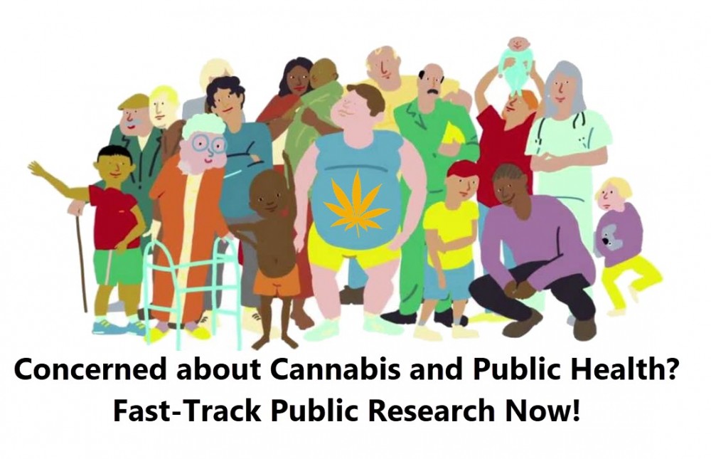 public health cannabis