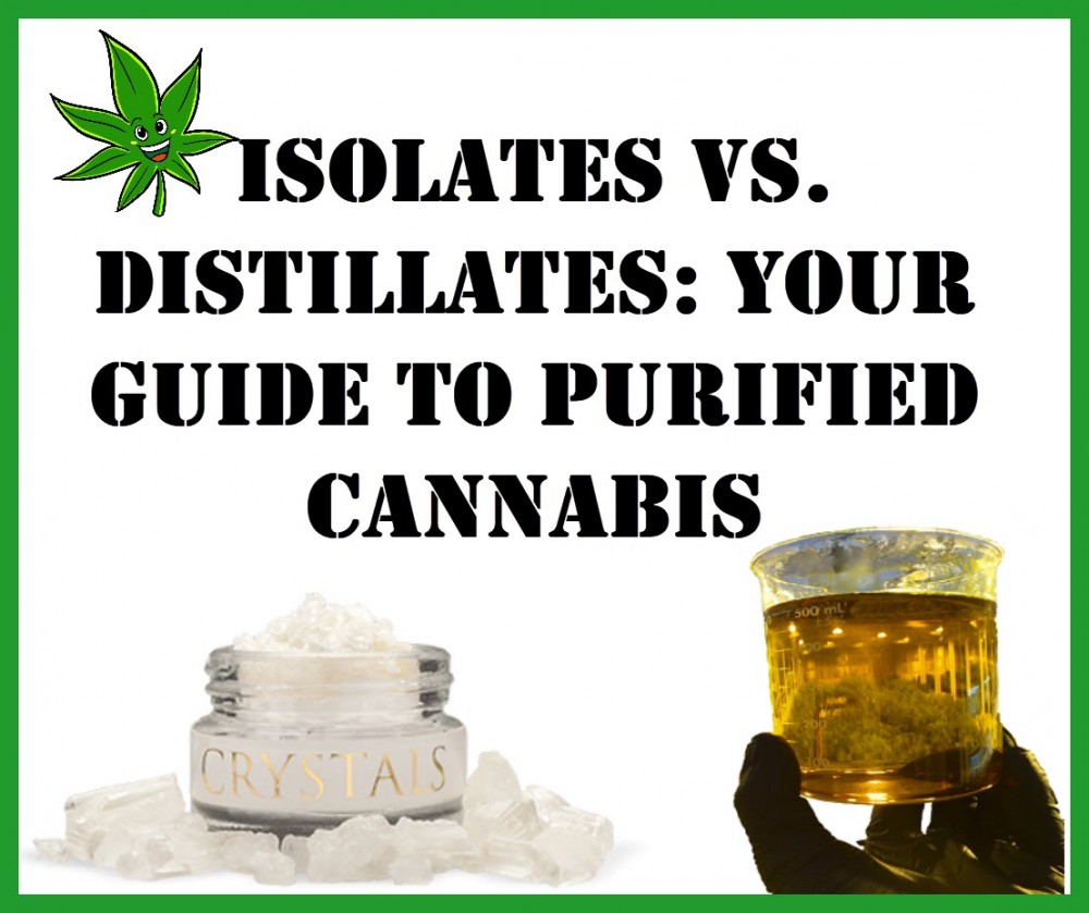 ISOLATE OR DISTILLATE CANNABIS