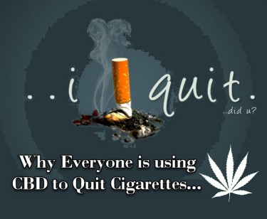 quit cigarettes for cbd